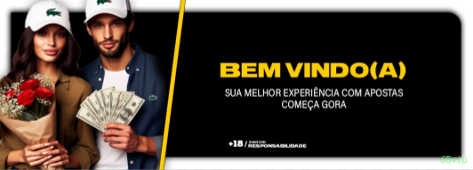 Performance 65vip